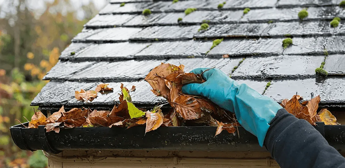 Gutter cleaning technician clearing wet leaves from roof gutters in Aurora, CO